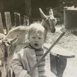 Goats