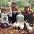 Chickens