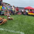 Doxie Derby