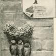 #bird-column, #boothbay register, #jeff and allison wells, #birds, #maine, #chimney swifts