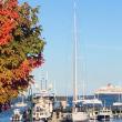 Rockland Harbor (Photo courtesy Carolyn Kanicki)