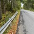 Canaan Road