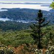 The September view from Mt. Battie (Photo courtesy Carolyn Kanicki)