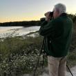 #bird-column, #shorebirds, #Wolfe’s Neck Center, #Freeport, #Maine, #Jeff and Allison Wells, #birds