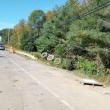 Route 90, at the site of the single vehicle crash. (Photo by Sarah Thompson)