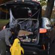 Decorations in this trunk include a corpse and blood. (Photo by Sarah Thompson)