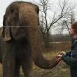 Henry Laurita greets Rosie in December 2014 (Photo by Lynda Clancy)