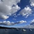 Harbor