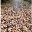 October 2020, Dillingham Point Road