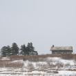 Beech Hill in January. (Photo courtesy Coastal Mountains Land Trust)