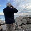 Jeff scanning shorebirds at Fortune's Rocks in Biddeford. A cave swallow had been seen nearby earlier that day, but the authors didn't know it at the time. Courtesy of Allison Wells