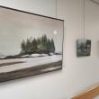 Nancy Benner art work on display at Waldo Hospital. (Photo courtesy MaineHealth)