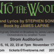 Into the Woods