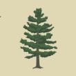 state flag winner 2024