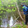 Long Cove Headwaters Preserve. (Photo courtesy Coastal Mountains Land Trust)