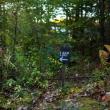 McLellan Poor Preserve. (Photo courtesy Coastal Mountains Land Trust)