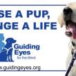 Guiding Eyes for the Blind logo