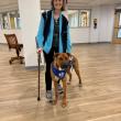 MaineHealth Waldo Hospital’s new pet therapy dog Jamison, with handler Mary Anne Riley, ready to greet patients inside the hospital. (Photo courtesy MaineHealth)