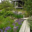 Japanese garden by Lee Schneller Sligh. (Photo courtesy Merryspring Nature Center)