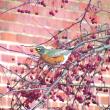 The authors were delighted to see a flock of American robins during a quick trip to the Big Apple recently. Courtesy of Allison Wells