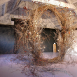 Heather Lyon's Portal, 2024, site-specific installation with natural materials. (Photo courtesy Parsonage Gallery)