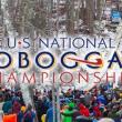 Toboggan