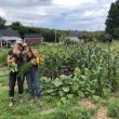 Erickson Fields' Community Garden courtesy of MCHT