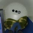 interior of our hyperbaric chamber