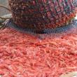 Photo courtesy Port Clyde Fresh Catch