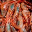 Photo courtesy Port Clyde Fresh Catch