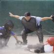 baseball umpire