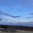 Beech Hill. (Photo courtesy Coastal Mountains Land Trust)
