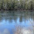 (Photo courtesy Washington Lakes Watershed Association)