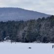 Ice Fishing