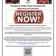 Windjammer basketball