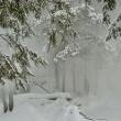 Snow
