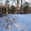 The walk-around in deep snow. (Photo by Sarah Thompson)