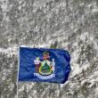 Maine's flag, Dirigo, Winter 2025. (Photo by Lynda Clancy)