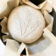 A loaf of gluten-free sourdough bread baked by Valerie Robinson. (Photo courtesy Good Tern Co-op)