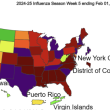 U.S. flu