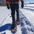 snowshoe metro