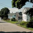 Street Tree Program. (Photo courtesy David Troup)