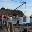 rockport harbor 2013