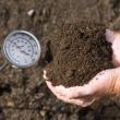 (Photo courtesy University of Maine Cooperative Extension / Edwin Remsberg)