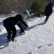 Learning about wildlife tracks. 