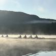 Come Row With Us!