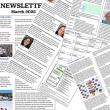 Camden Maine - March 2025 Newsletter feature photo