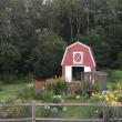 A Maine garden in Appleton. (Photo courtesy Merryspring Nature Center)