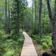 Rockland Bog Trail. (Photo by Georges River Land Trust)