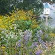 Resilient perennials support wildlife and pollinators while adding beauty to your garden. (Photo courtesy University of Maine Cooperative Extension/Edwin Remsberg)